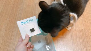 주식회사 휴레브 Cool Fit(마스크 공기 순환 장치) — 5점을 준 리뷰어가 2022년 11월 올린 사용 사진