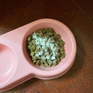 My Pet Care 모발과 모질 피부건강에 개좋아 — 4점을 준 리뷰어가 2021년 4월 올린 사용 사진