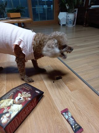 러브홀릭님이 올린 리뷰 사진 2