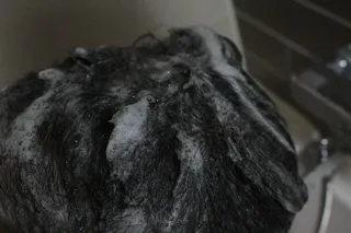 MOAMANEMUNAH 모아만에무나 플러스 두피 탈모 완화 기능성 샴푸 + 브러쉬 2종 세트 — 5점을 준 리뷰어가 2021년 10월 올린 사용 사진