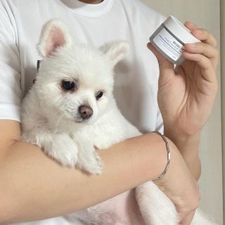규규님이 올린 리뷰 사진 2