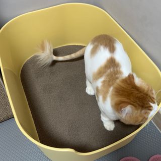 현블리님이 올린 리뷰 사진 3