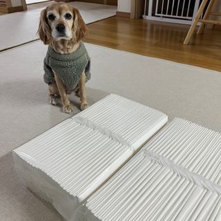 초오기님이 올린 리뷰 사진 4