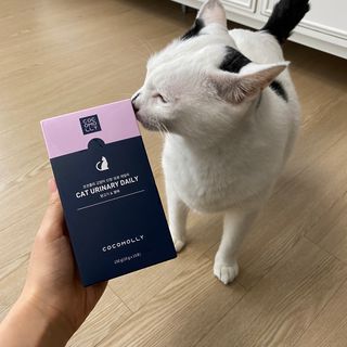 두꾸빠님이 올린 리뷰 사진 3
