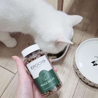 펫21 그로그로 5종 강아지 고양이 반려동물 한방 영양제 — 4점을 준 리뷰어가 2021년 11월 올린 사용 사진