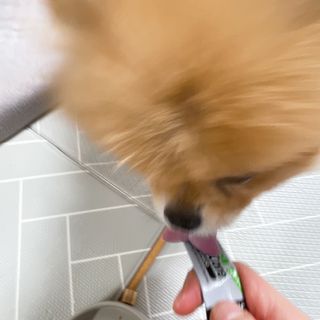 삐약삐삐약님이 올린 리뷰 사진 4