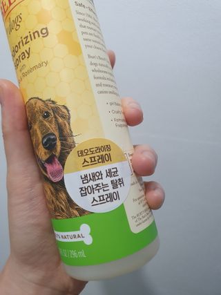 윰댕님이 올린 리뷰 사진 2