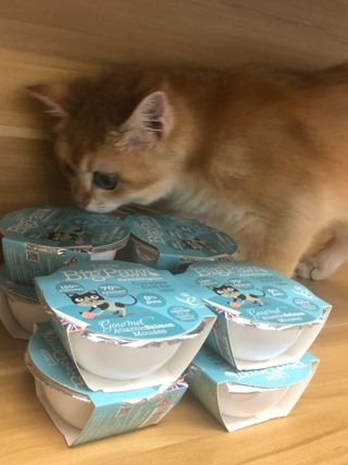 고고고님이 올린 리뷰 사진 2