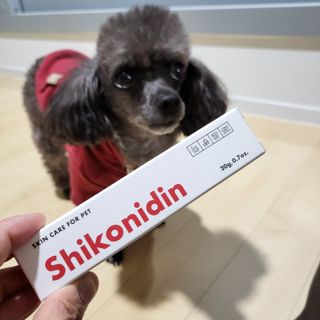 [자유펫] 시코니딘 고양이 강아지 피부 보습 연고 20g — 5점을 준 리뷰어가 2021년 10월 올린 사용 사진