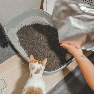 BoramKim님이 올린 리뷰 사진 4