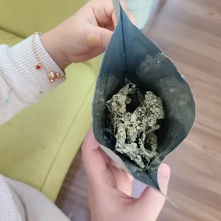 오봉산꽃부각 [만나식품] 오봉산 꽃부각 3가지 맛(오리지널, 새우맛, 매운고추맛) — 5점을 준 리뷰어가 2023년 1월 올린 사용 사진