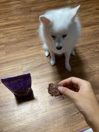 펫에이블 데일리바이트 키토 [비프], [치킨] — 5점을 준 리뷰어가 2021년 8월 올린 사용 사진