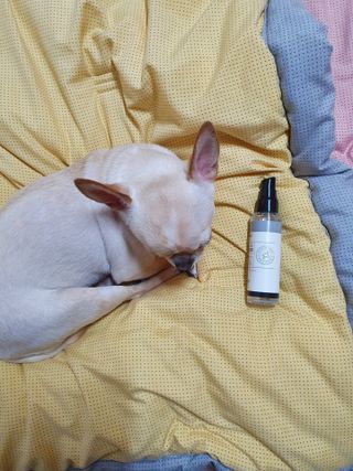 써니님이 올린 리뷰 사진 3