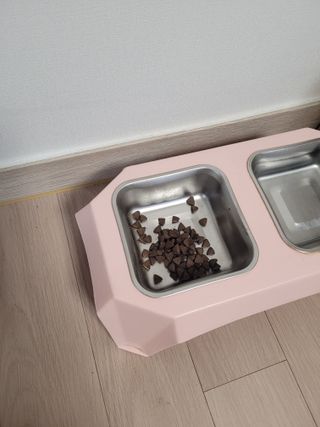 [푸디웜] 라포그  리얼인섹트 웨이트밸런스 저알러지 강아지 사료  1.2KG — 5점을 준 리뷰어가 2022년 7월 올린 사용 사진