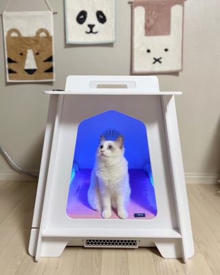 ccoyo님이 올린 리뷰 사진 2