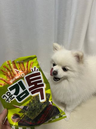 신소향님이 올린 리뷰 사진 3