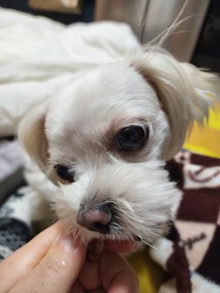 쏭쏭님이 올린 리뷰 사진 4