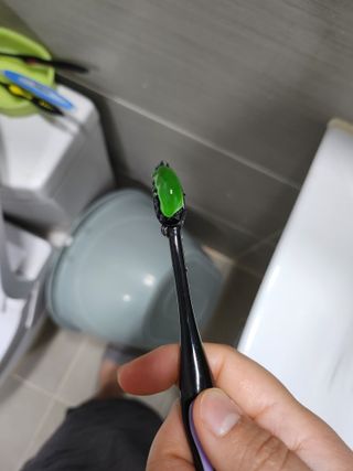 프리마인 유해균 뿐만 아니라 유익균까지 씻어내는 치약은 그만, 건강한 구강환경을 만드는 덴탈엔오 — 5점을 준 리뷰어가 2022년 12월 올린 사용 사진