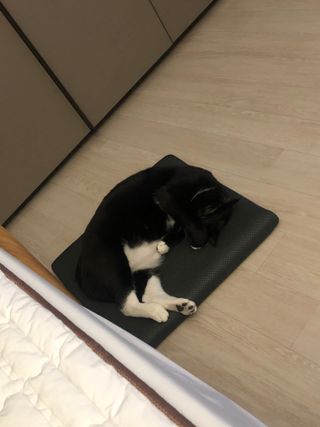 ㅎㄴㅇㅅㅇ님이 올린 리뷰 사진 3
