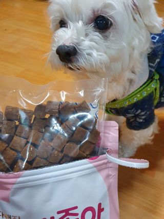 My Pet Care 천연단백질 관절건강에 개좋아 — 5점을 준 리뷰어가 2021년 1월 올린 사용 사진