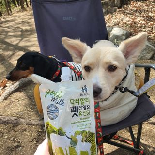히이잇님이 올린 리뷰 사진 3
