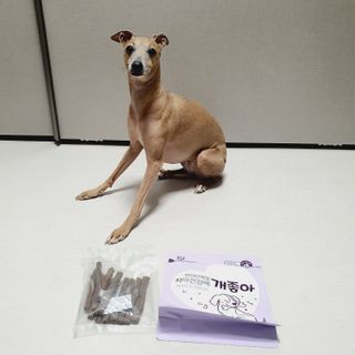 My Pet Care 천연단백질 치아건강에 개좋아 — 5점을 준 리뷰어가 2021년 1월 올린 사용 사진