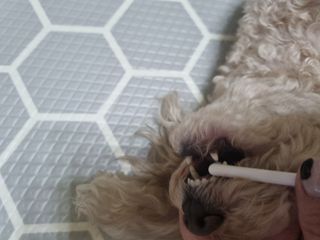 진쓰님이 올린 리뷰 사진 4