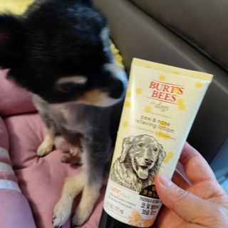 버츠비 케어플러스 릴리빙포앤노즈로션 — 4점을 준 리뷰어가 2021년 4월 올린 사용 사진