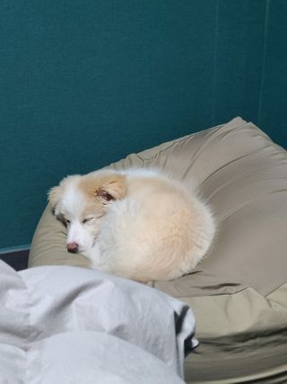 핑구님이 올린 리뷰 사진 3