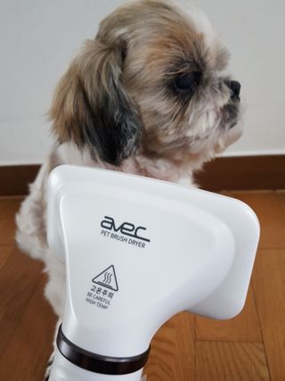 아베크 펫 강아지 고양이 애견 에어 브러쉬 드라이기 올인원 — 5점을 준 리뷰어가 2021년 7월 올린 사용 사진