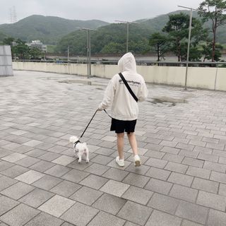 꿍언니님이 올린 리뷰 사진 1