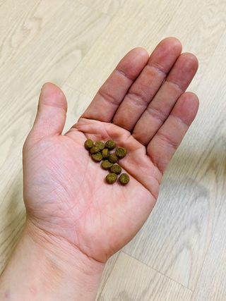 노이님이 올린 리뷰 사진 4