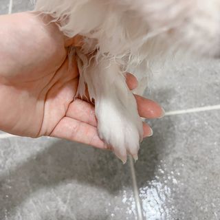오랑이님이 올린 리뷰 사진 4