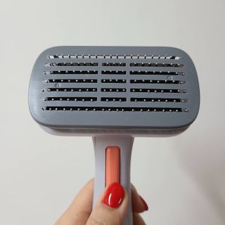 쮸디님이 올린 리뷰 사진 2