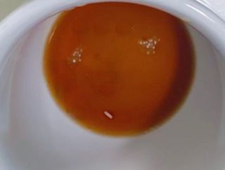 광동생활건강 나우 [광동] 배도라지 쌍화스틱 10mL x 100포 — 5점을 준 리뷰어가 2023년 2월 올린 사용 사진