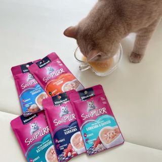 비타크래프트 고양이 수프 50g 3가지맛 x4팩씩 총 12팩 — 4.5점을 준 리뷰어가 2021년 8월 올린 사용 사진