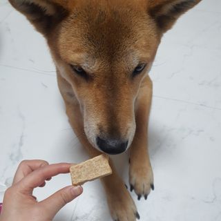 루비님이 올린 리뷰 사진 4