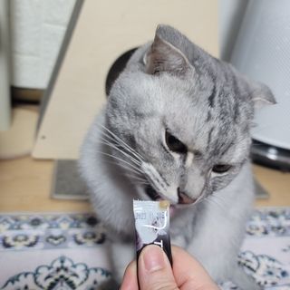 에디터보나님이 올린 리뷰 사진 2