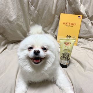 오랑이님이 올린 리뷰 사진 2