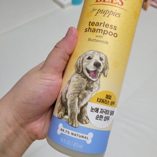 콩떡마미님이 올린 리뷰 사진 3