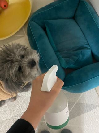 갱스님이 올린 리뷰 사진 1