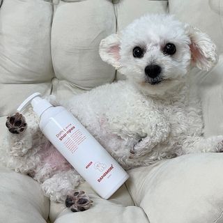 예나님이 올린 리뷰 사진 1