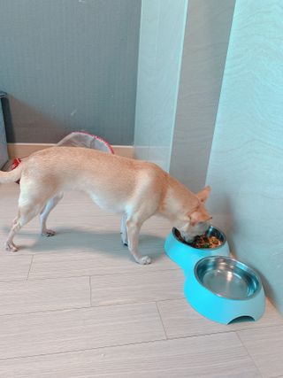 스티치님이 올린 리뷰 사진 2