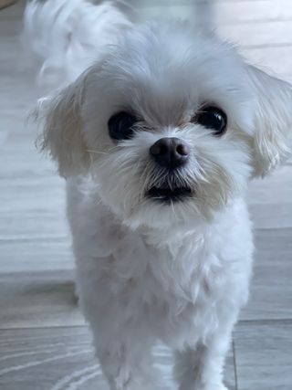 라임님이 올린 리뷰 사진 4