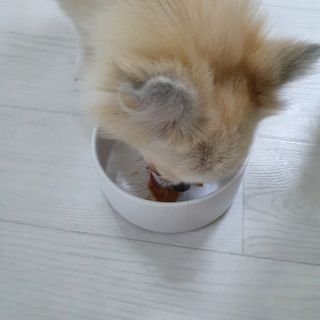 양용언님이 올린 리뷰 사진 4