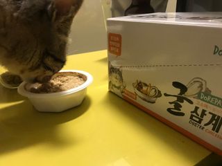 Er님이 올린 리뷰 사진 3