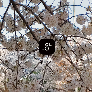 0.8L 마케팅팀 - — 4점을 준 리뷰어가 2021년 5월 올린 사용 사진