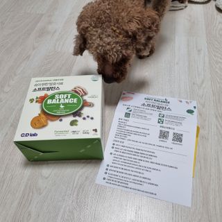 김다람쥐님이 올린 리뷰 사진 1