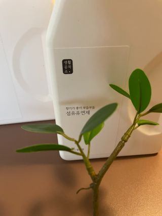 밍밍님이 올린 리뷰 사진 2