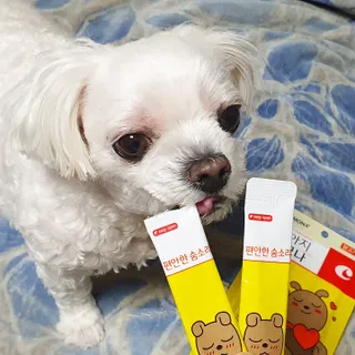 라임님이 올린 리뷰 사진 2